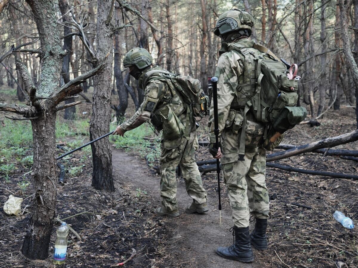    Саперы пристально осматривают каждый предмет, встречающийся на маршруте© РИА Новости / Мария Марикян