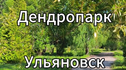 Прогулка в Дендопарке. Ульяновск.