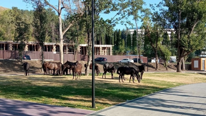      Фото: Администрация Кисловодска