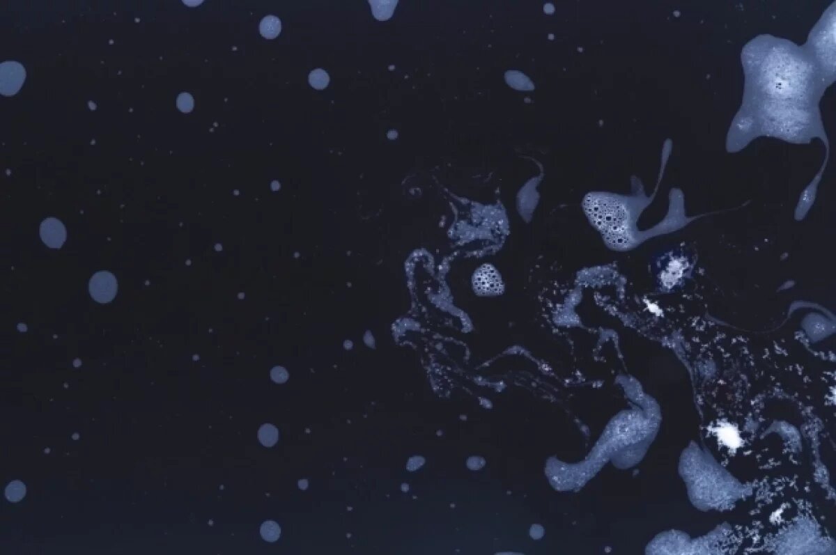    Министерство природных ресурсов региона провело обследование реки Рпень