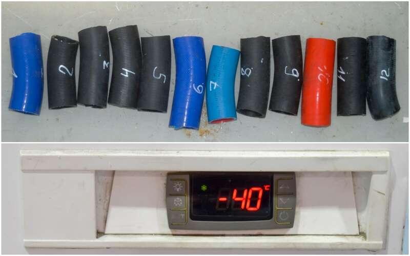    Образцы в морозильной камере покрылись инеем, но некоторым мороз нипочем.