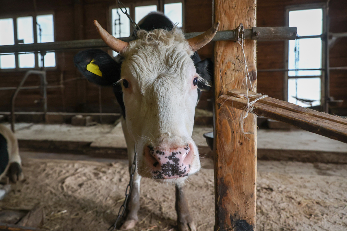 Petrov Sergey/news.ru/Global Look Press