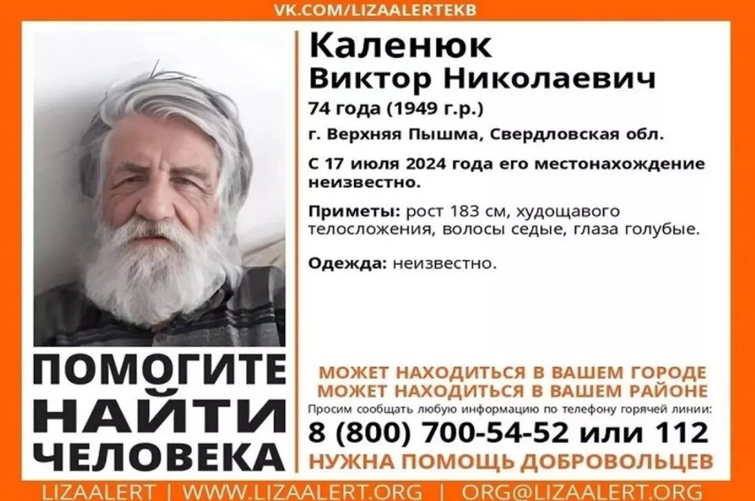     Источник: Поисково-спасательный отряд «Лиза Алерт»