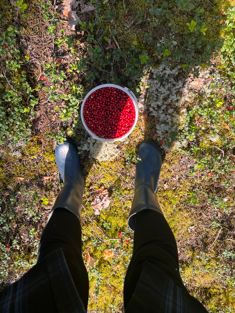 Часть улова