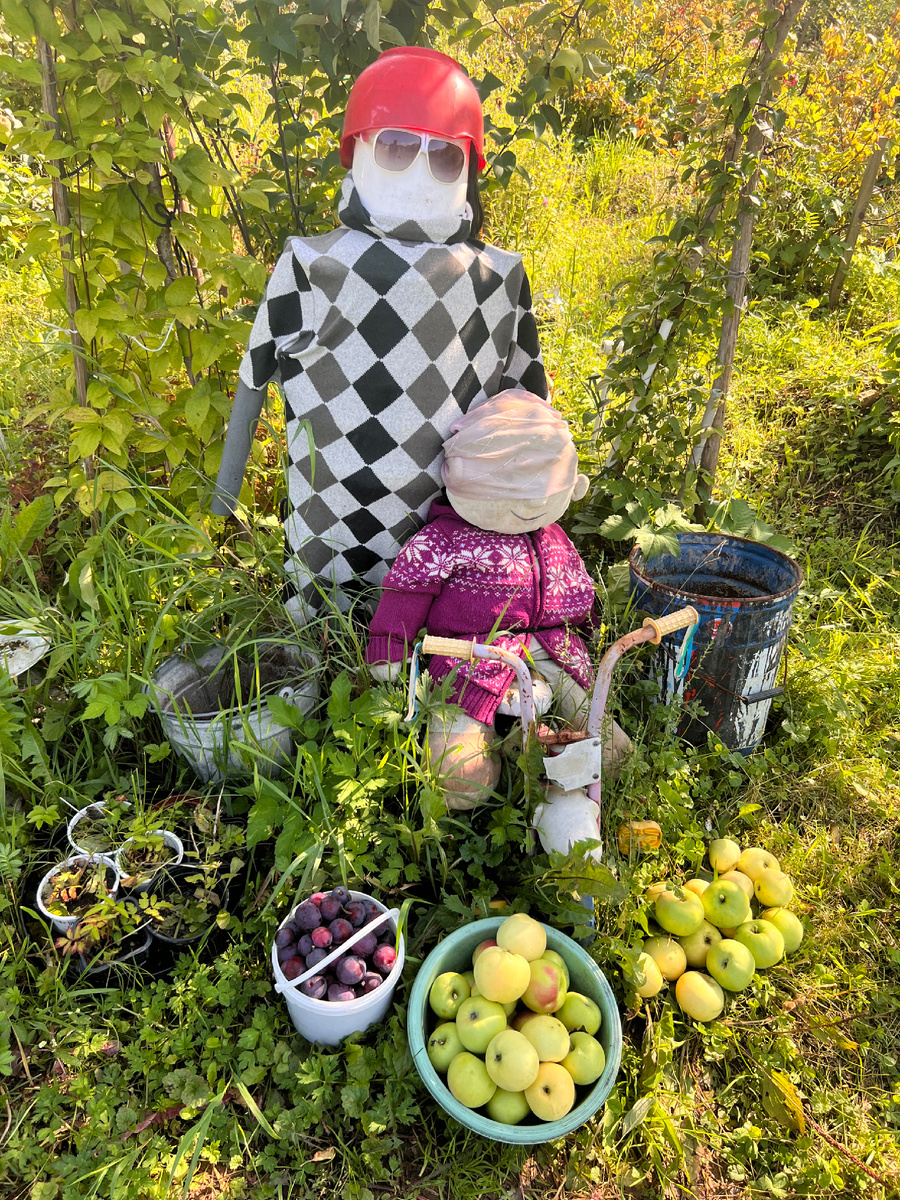 Такие забавные товарищи охраняют дачу