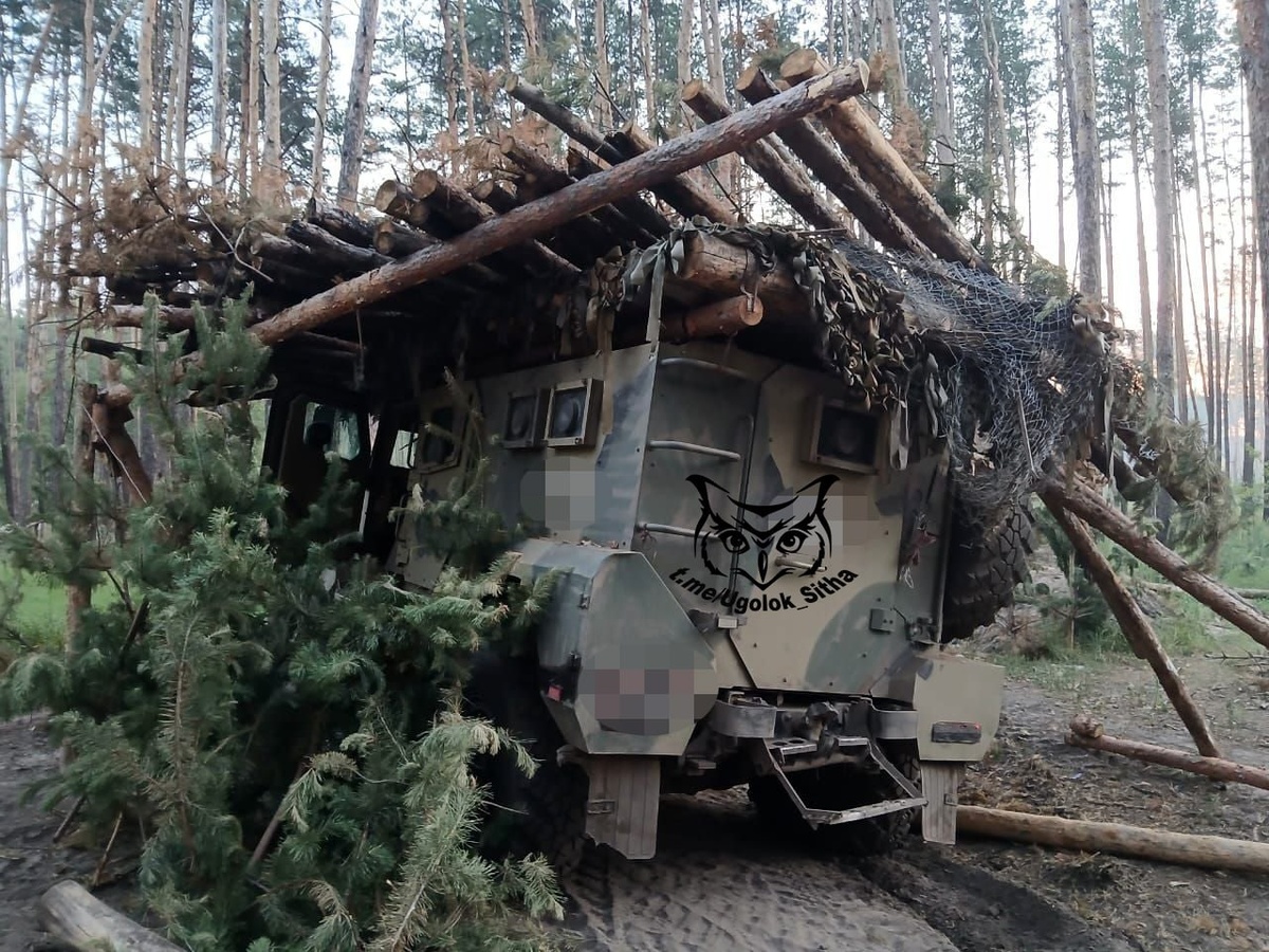    Изображение @Ugolok_Sitha 