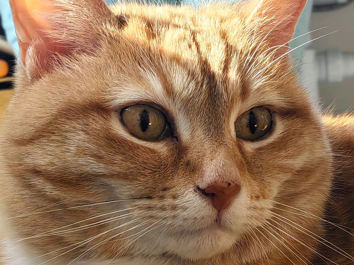 Да что вы говорите? Неужели садоводов обманывают??? 