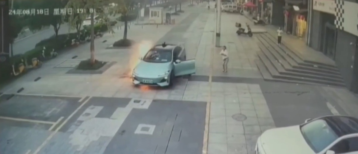 Кадр из видео  📷
