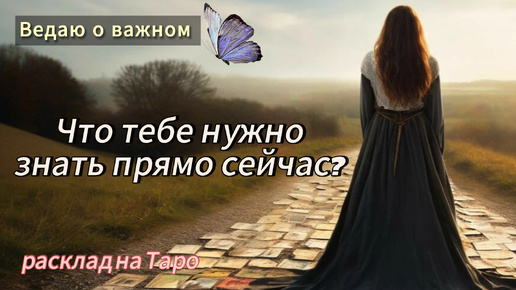 ✨️🔮Общий расклад: Что тебе нужно знать прямо сейчас?