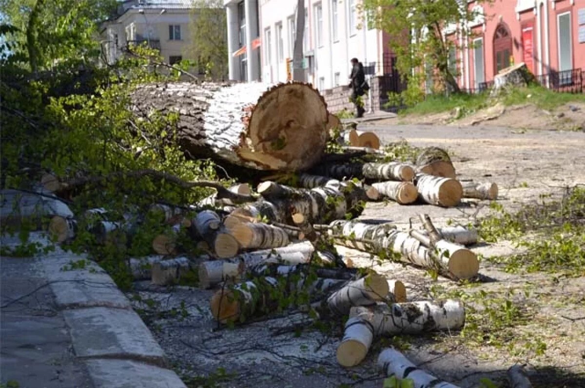    Фото тематическое.