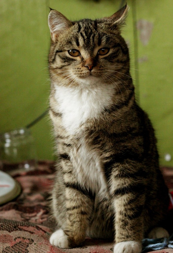 первый день в новом доме