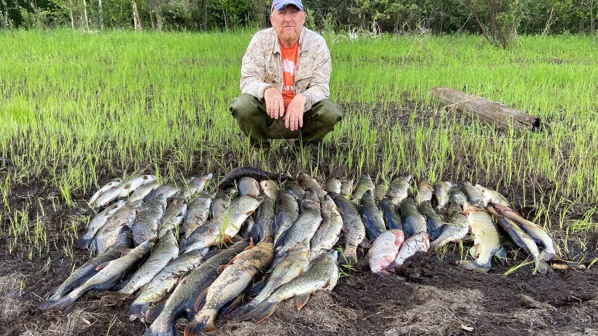     Источник: Рыбалка в Тюменской области