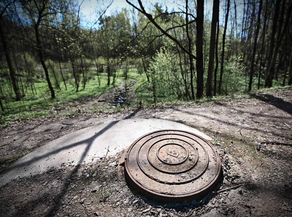 Фото Олега Рукавицина 
