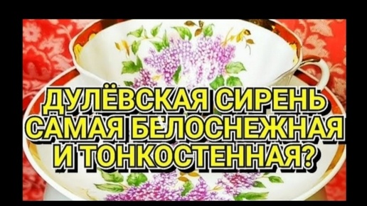 Какой фарфор СССР самый белый и тонкостенный? Сравнение чайных пар Сирень Дулево Мальва Вербилки Розы Пролетарий Белизна фарфора