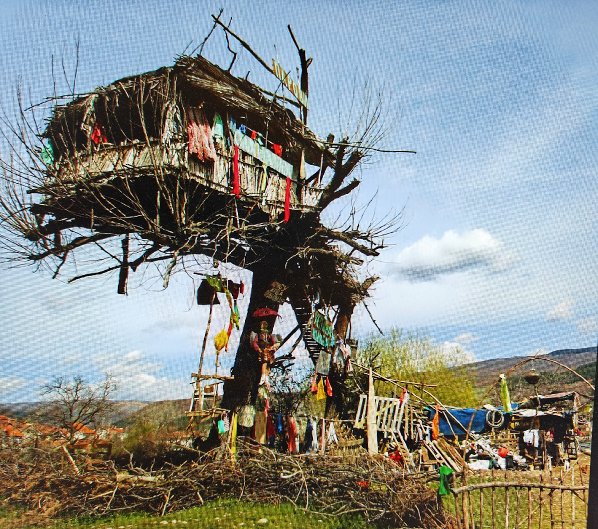 Из 560 КВ.м .моего участка, мне остаётся свободными только 208 КВ.м.. а это значит, дом на дереве, а внизу под домом грядка с петрушкой. 