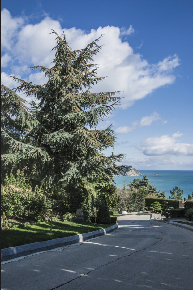 Дорога так и манит пройтись. Но это реально крутой серпантин. фото С. Малышева.