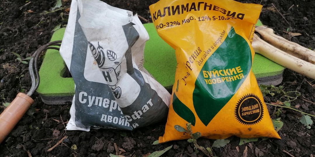 Осень - время фосфорно-калийных удобрений. Подкармливаю кусты и деревья
