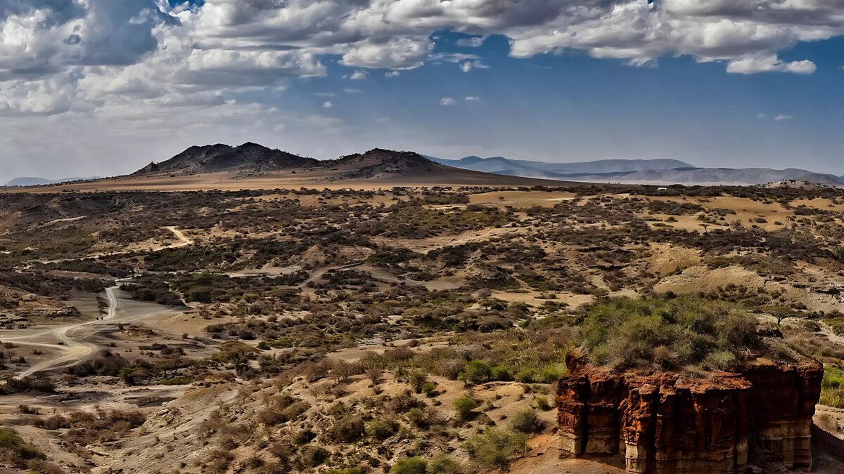     Автор: Noel Feans Источник: Wikimedia Commons