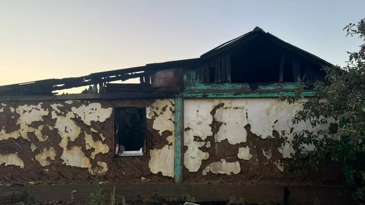     Источник: СУ СКР по Волгоградской области