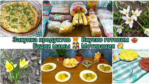 Закупка продуктов🛒Вкусно готовим 🍲Будни мамы 👨‍👩‍👧‍👦 Мотивация 💐 #буднимамы #будни #закупка #готовка