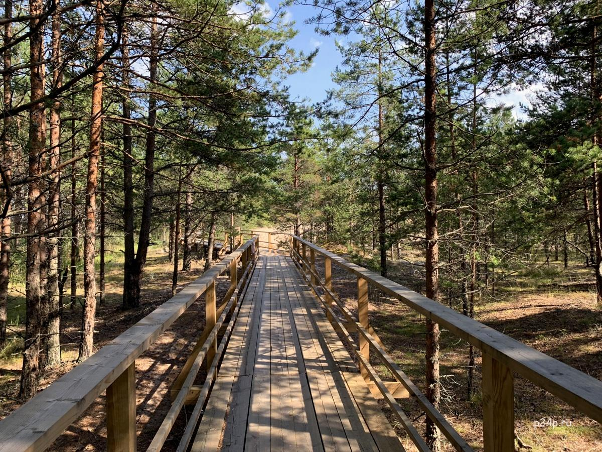 Источник: p24p.ru