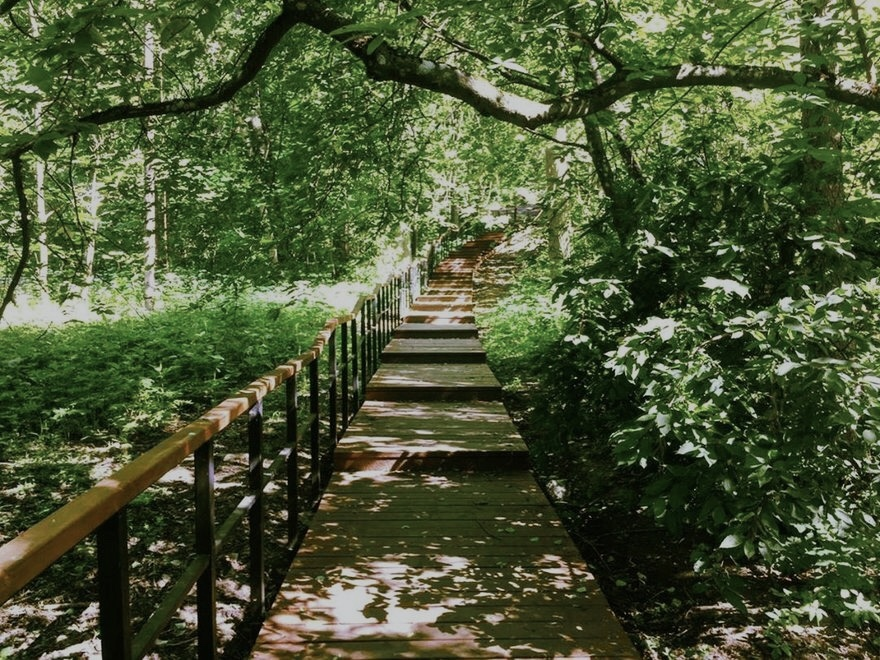 Источник: fiesta.ru