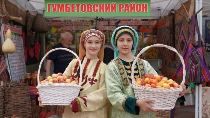 Дагестан называют абрикосовой столицей России. // Фото: Минсельхозпрод РД 