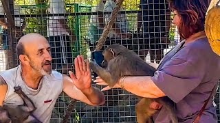 Люська - главный блогер Тайгана научилась сама снимать видео про любимого папу и Степку)