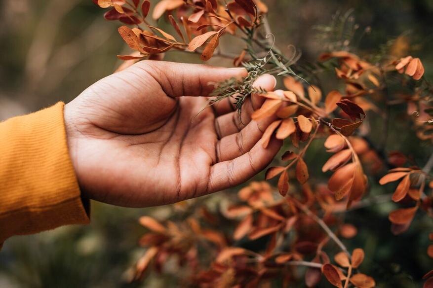 Источник: ru.freepik.com