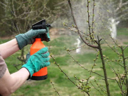 Источник: ru.freepik.com