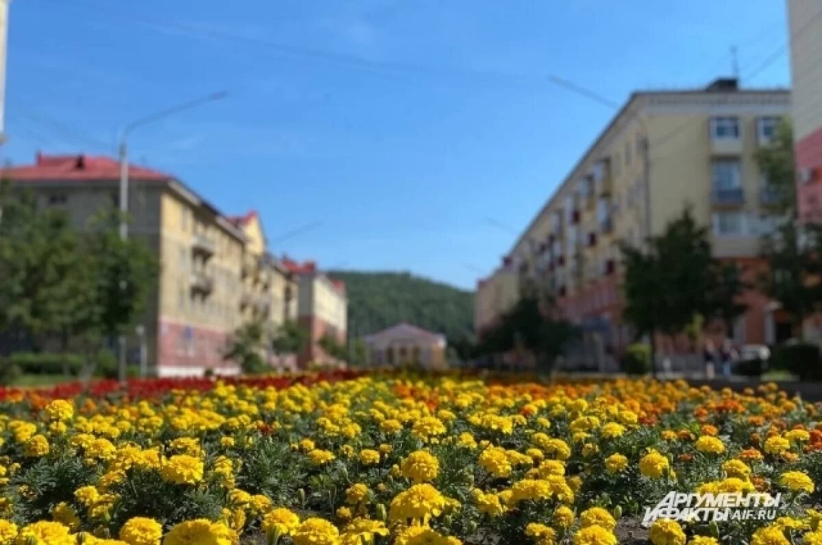    Власти Междуреченска объяснили, почему в городе отменили «Свечу поколений»