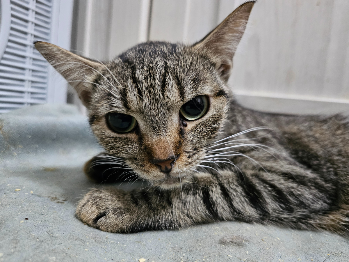 Фото автора. Тяжёло.