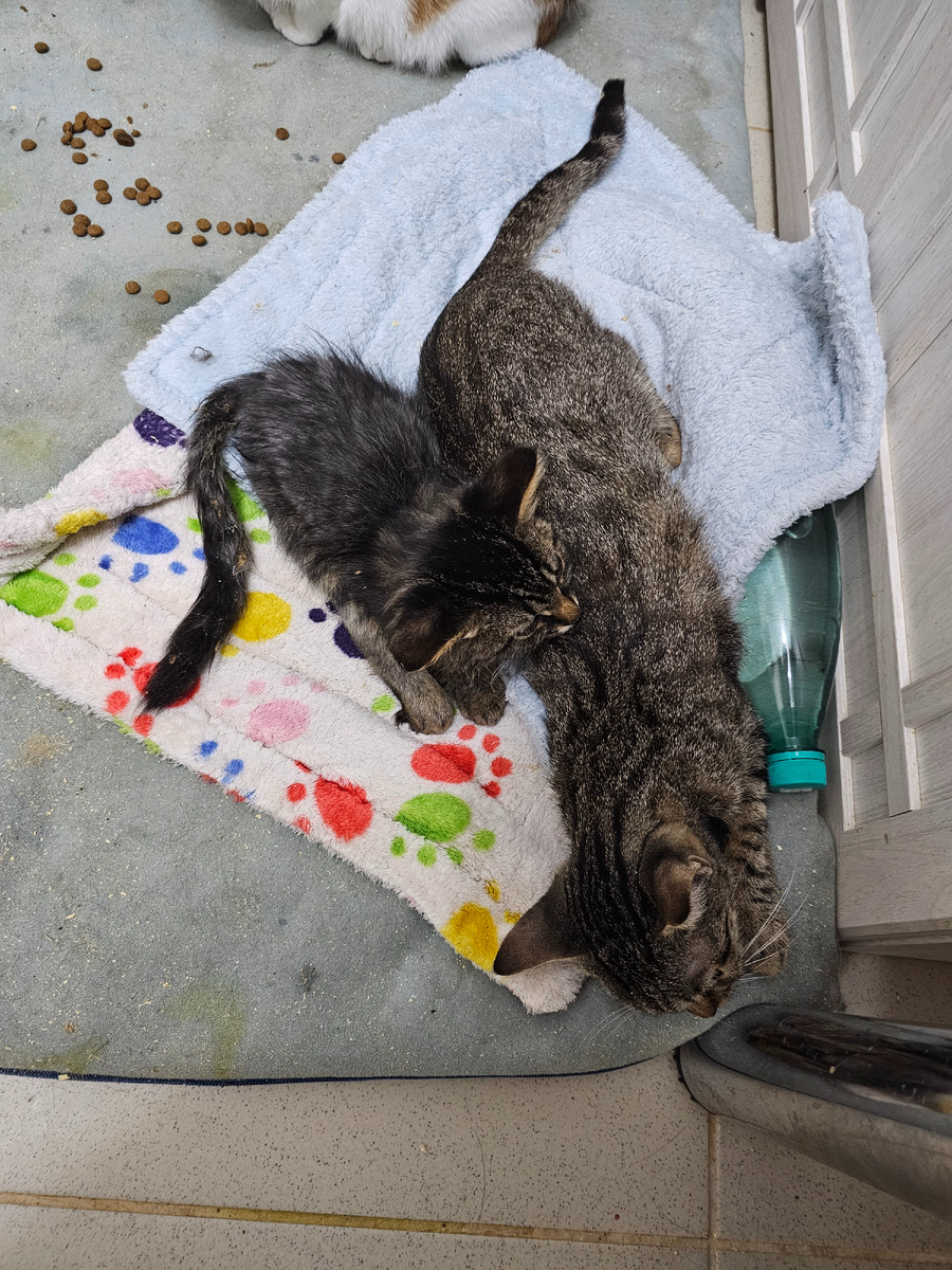 Фото автора. Малышики.