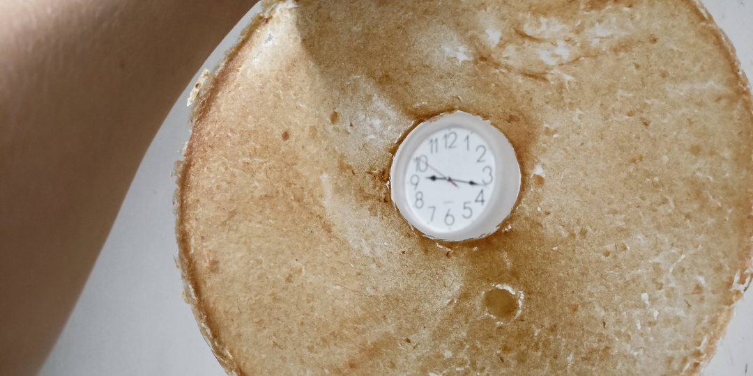 Яблочная пастила - оптимум в 10 шагов