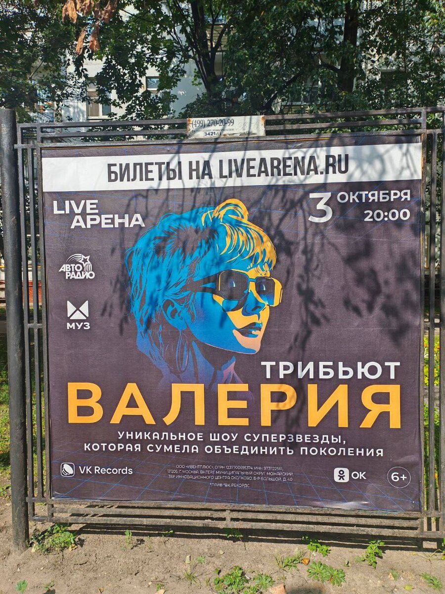 Депутат ГД РФ Яна Лантратова усомнилась в патриотичности певицы Валерии