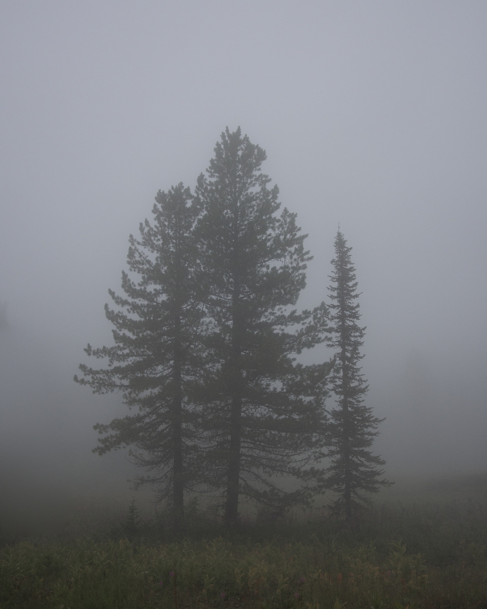 Вечером здесь часто бывают туманы. 