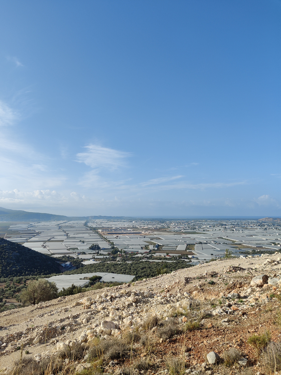 Бесконечные фермы с невкусными турецкими помидорами. Но это неточно.