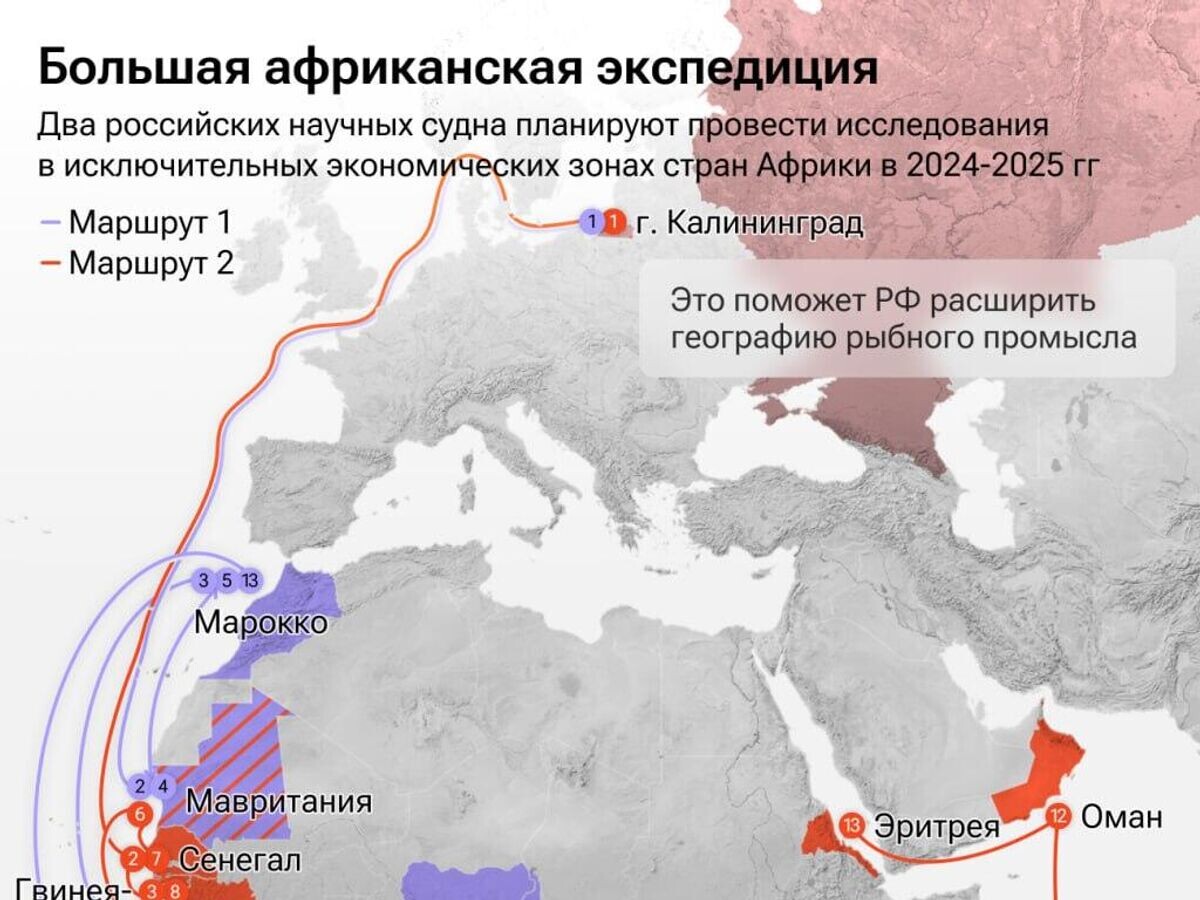    Большая африканская экспедиция© Иллюстрация РИА Новости