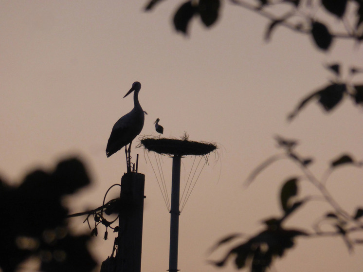     Фото: Юрий Галченков