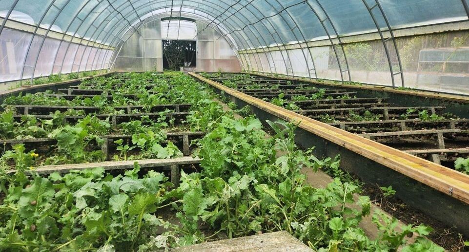    Пресс-служба администрации г. о. Солнечногорск