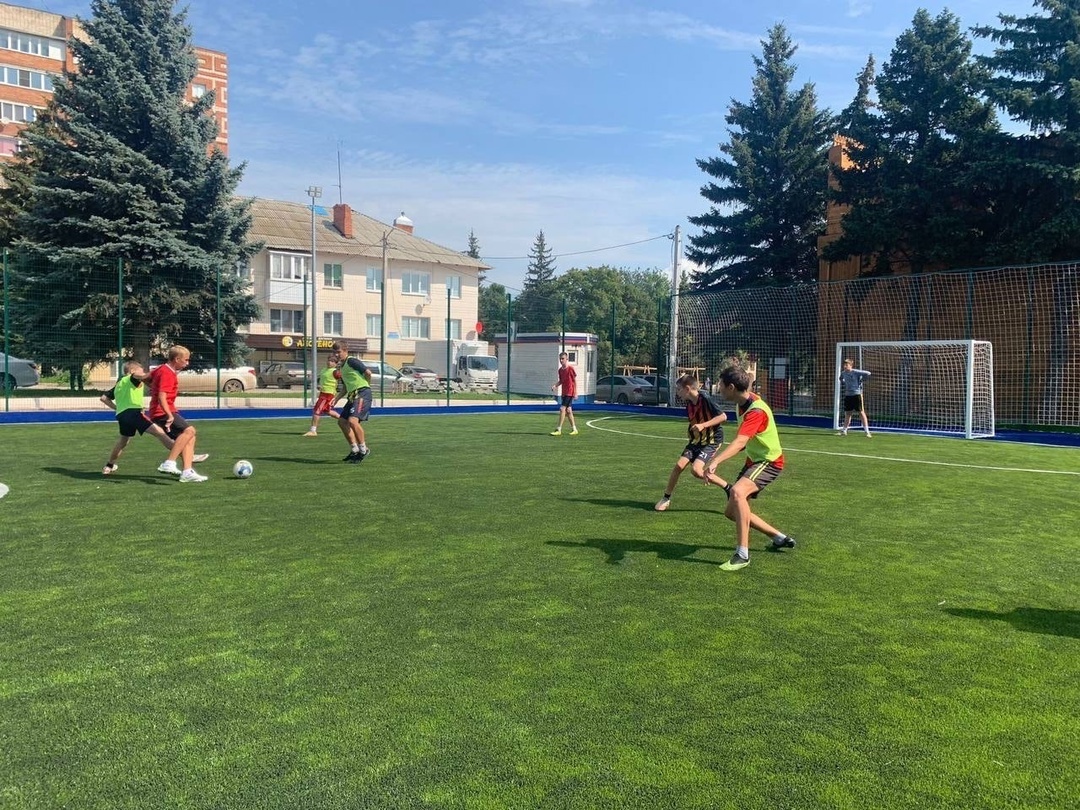    Дмитрий Дьяченко: «Первую проверку мини-футбольное поле прошло» Марина Шарт