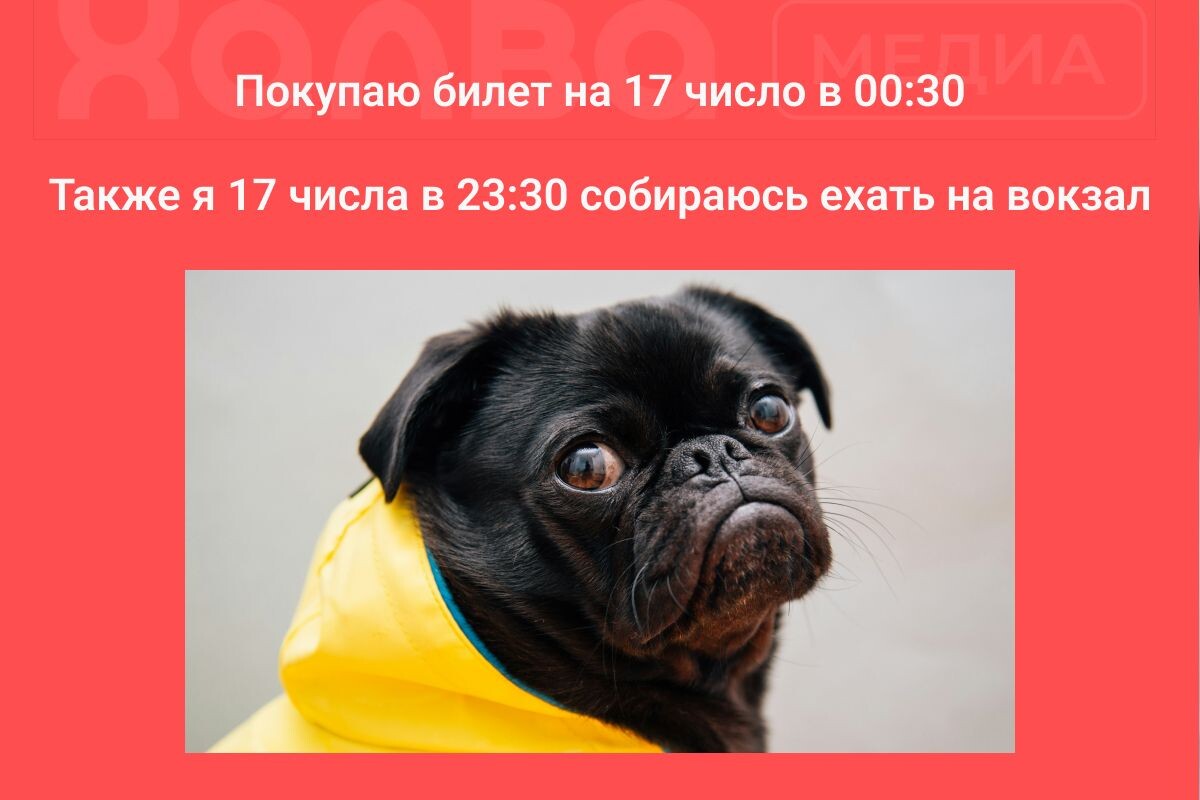 Мем смешной, а ситуация печальная. Источник: Unsplash📷
