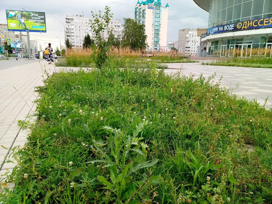 Фото: Метафора ТВ