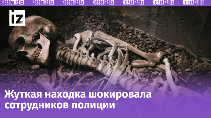 Добавьте описание
