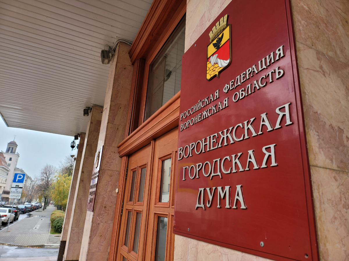 ГорДума Воронежа. 