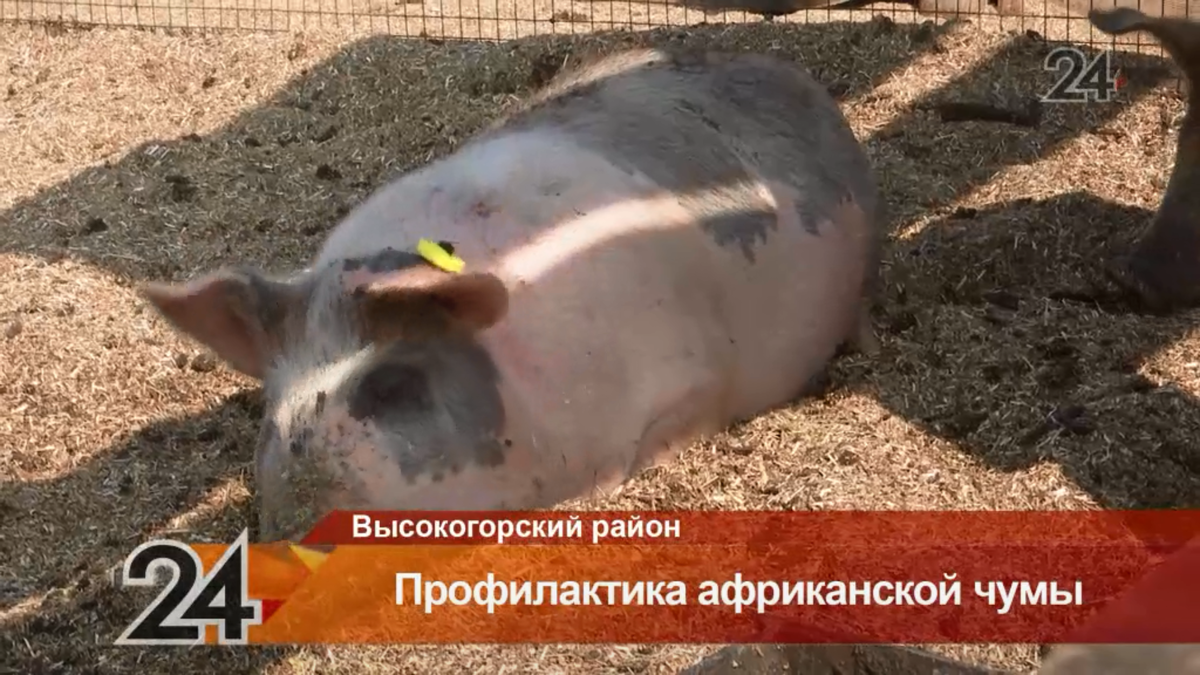 Скриншот из видеосюжета