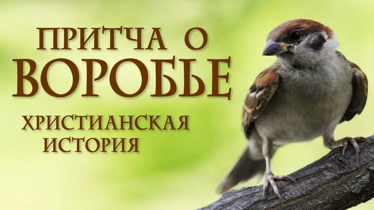 Источник: Яндекс. Картинки