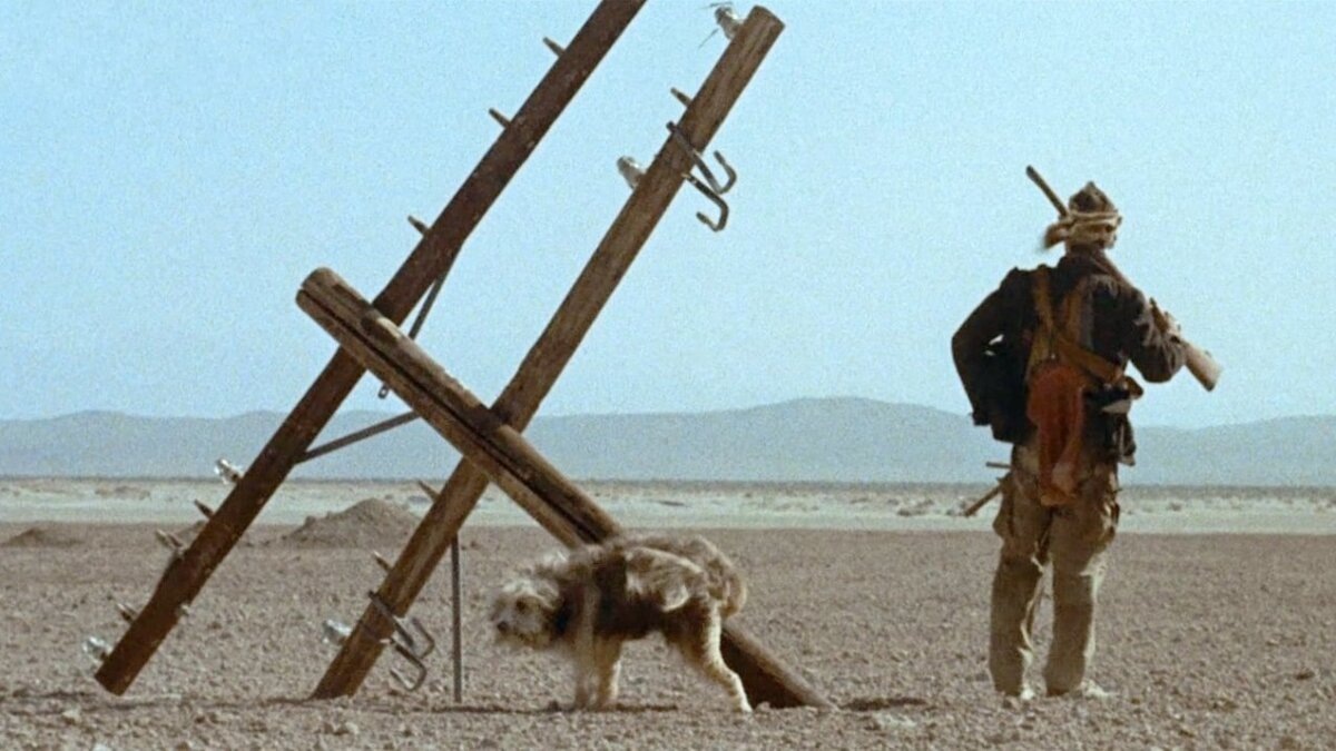 Кадр из фильма "Парень и его пес" (1975)