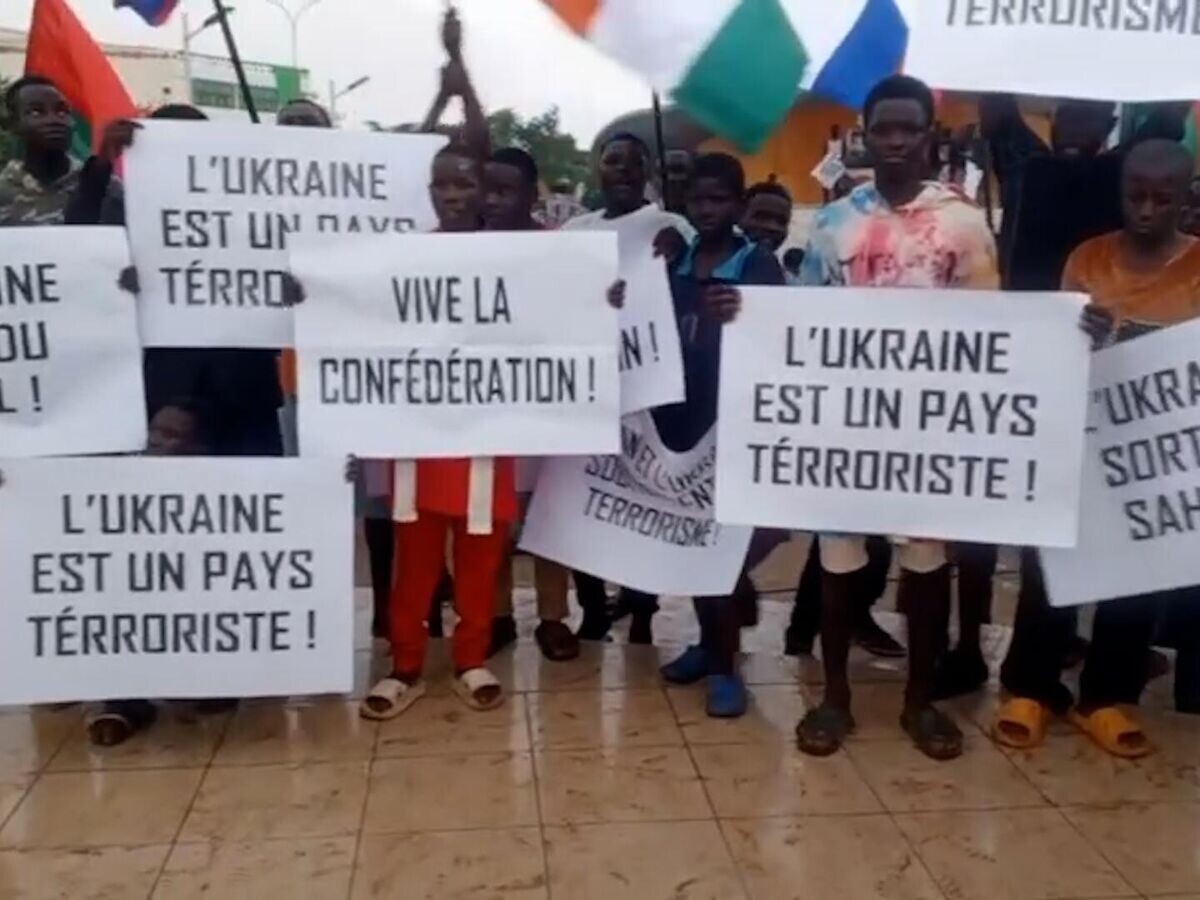    Акция против политики Киева в Нигере© РИА Новости