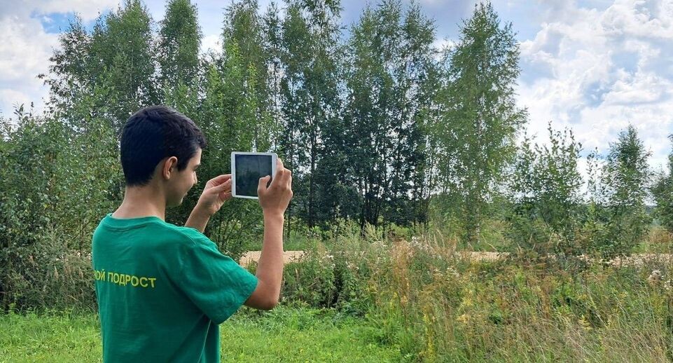    Комитет лесного хозяйства Московской области